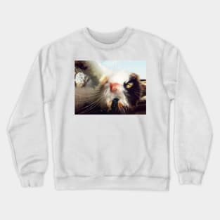 playful Crewneck Sweatshirt